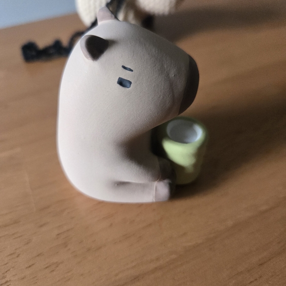 Capybara Bundle - Picture 3 of 7